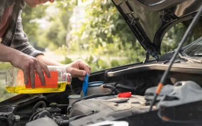 The Importance of Fluid Maintenance for Longevity